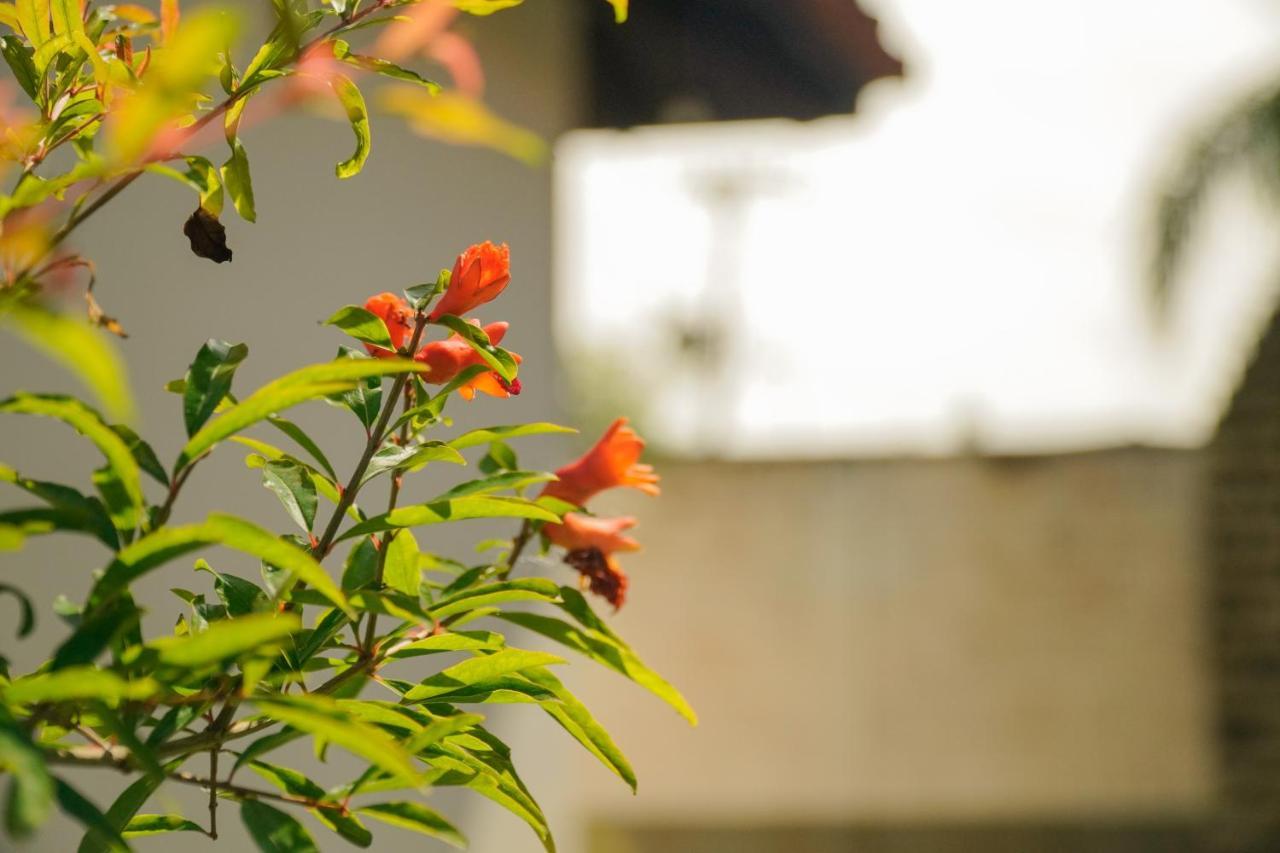 Dunasol Floripa Inn