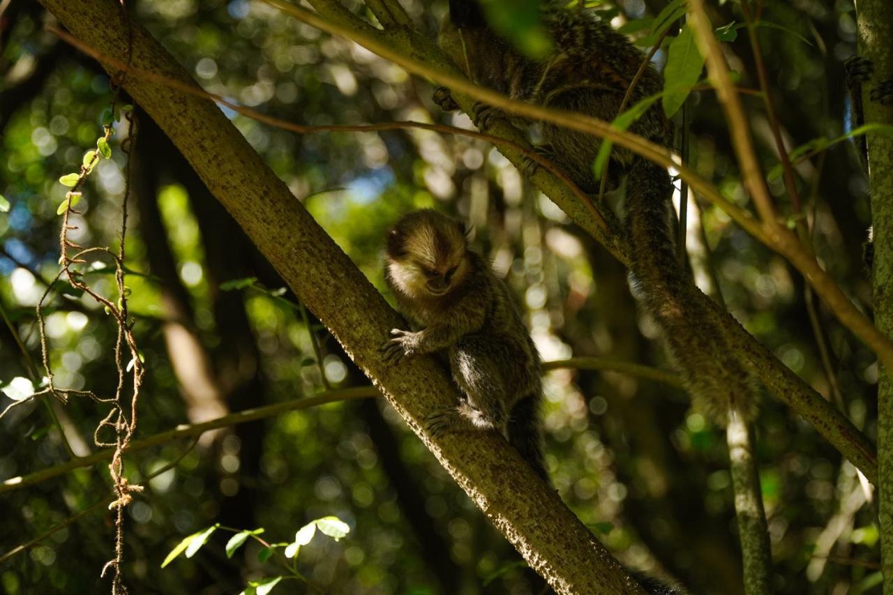 Dunasol Floripa